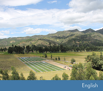 Combination of Wastewater Treatment with Environmental Protection
