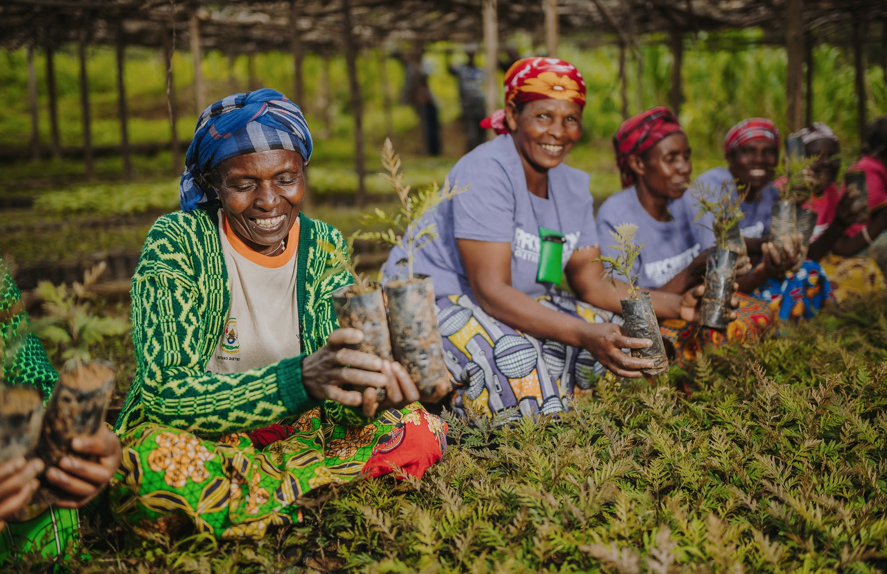 Community Managed Tree Nursery Lake Kivu