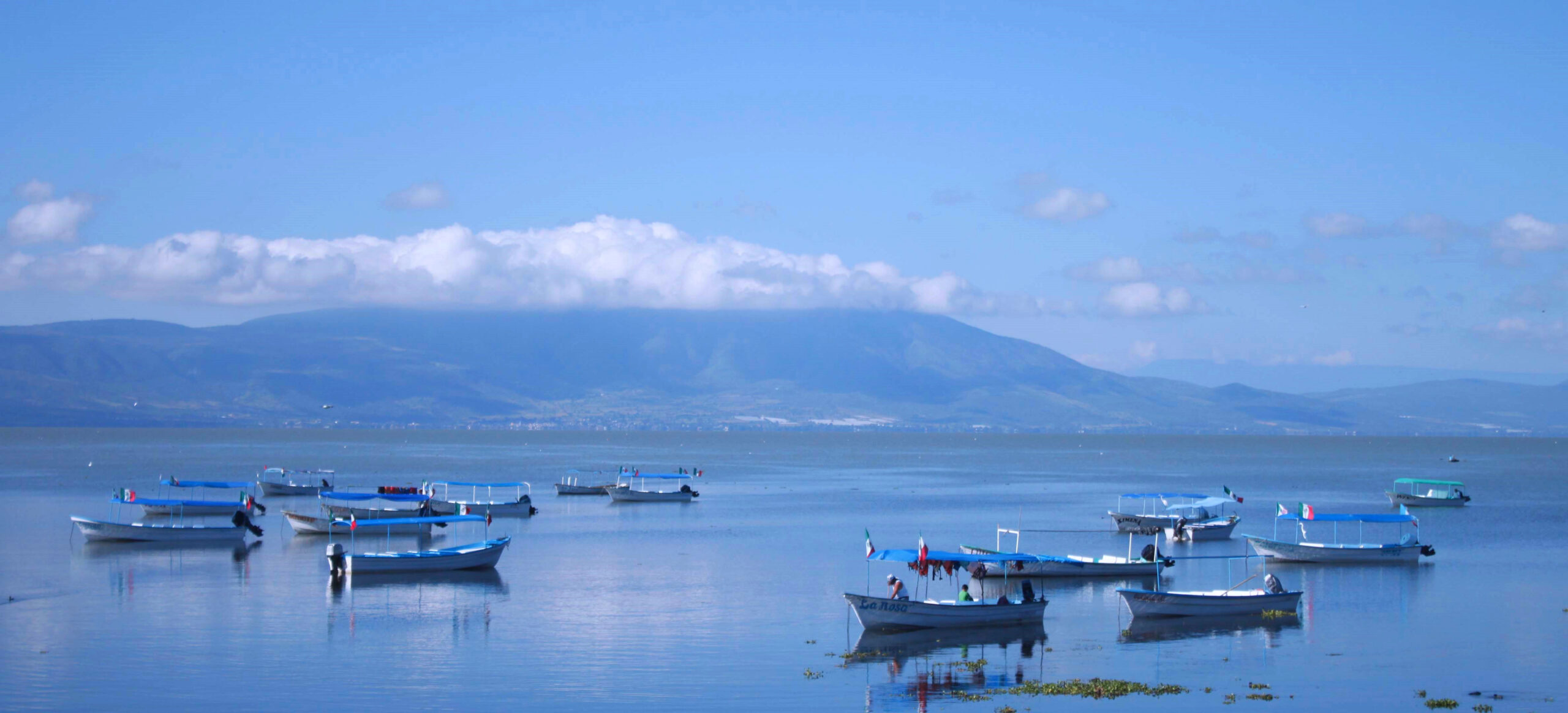 Lake Chapala Living Lakes Biodiversity & Climate Project