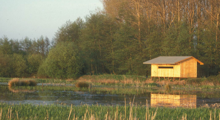 Global Nature Fund and Living Lakes Lead Germany’s Wetland Conservation Efforts