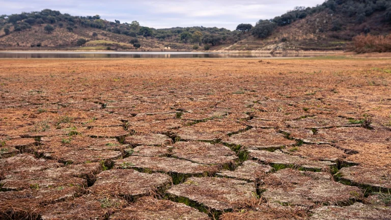 LIVING LAKES position paper for Conference of the Parties COP29