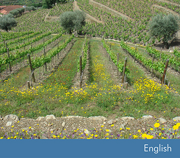 Biodiversity Action Plan for Vine Growers: Catalogue of Measures to Support Biodiversity