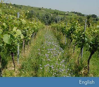 Biodiversity Check – Individual Training Concepts for Vine Grower