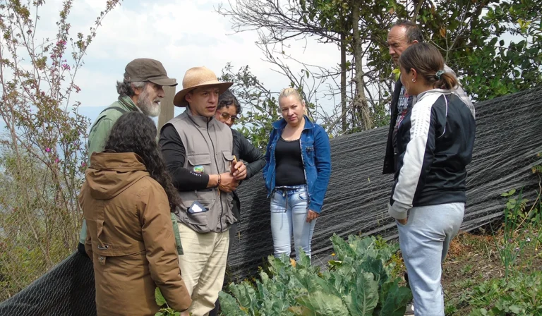 Sustainable Farming in Colombia: Agroecology Boosts Food Security and Climate Resilience