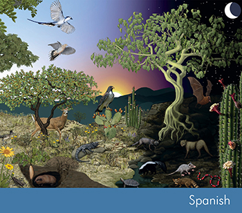 Chapala Highlands and Their Biodiversity
