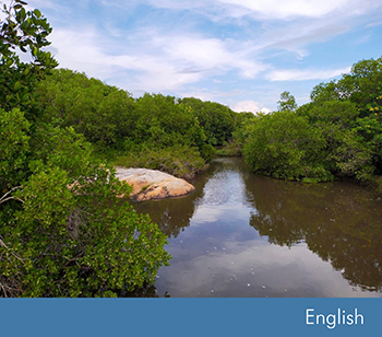 Community-Driven Wetland Restoration: A Success Story from Sri Lanka
