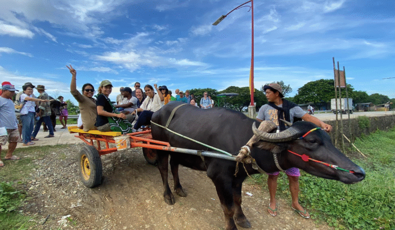 Farmers in Candaba Embrace Their Role as Environmental Stewards