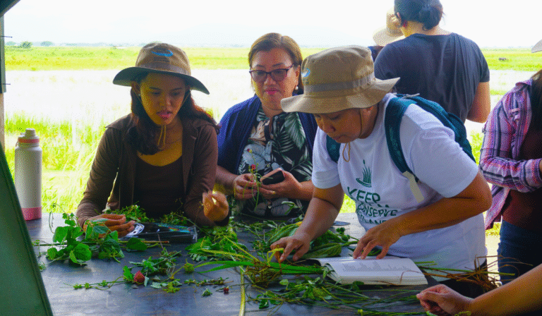 Gaining a New Perspective: A Trainee’s First-Hand Experience of Citizen Science in the SCPW Wetlands BioBlitz