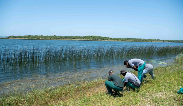 World Wetlands Day 2026: One with Wetlands