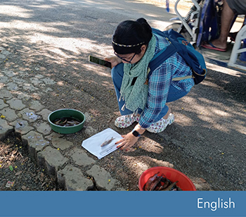 A Study on the Present Status of Fish Population, Abundance, and Anthropogenic Stressors Affecting the Ichthyofaunal Diversity in Deepor Beel