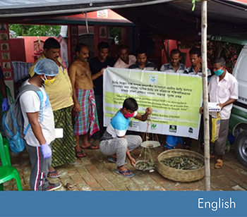 Case Study on Sustainable Aquaculture in Mangrove Ecosystems