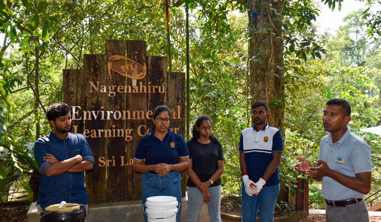 Expert Voices: Sajeewa Emmanuel