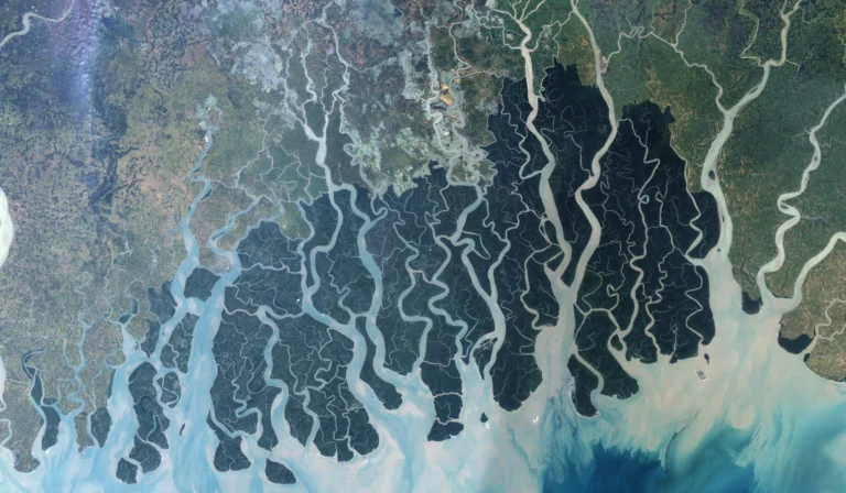 17th Living Lakes Conference Heads to Kolkata and the Sundarban in 2026