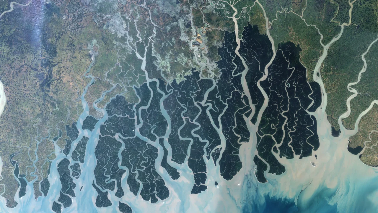 Sundarbans