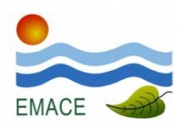 Logo Emace Foundation