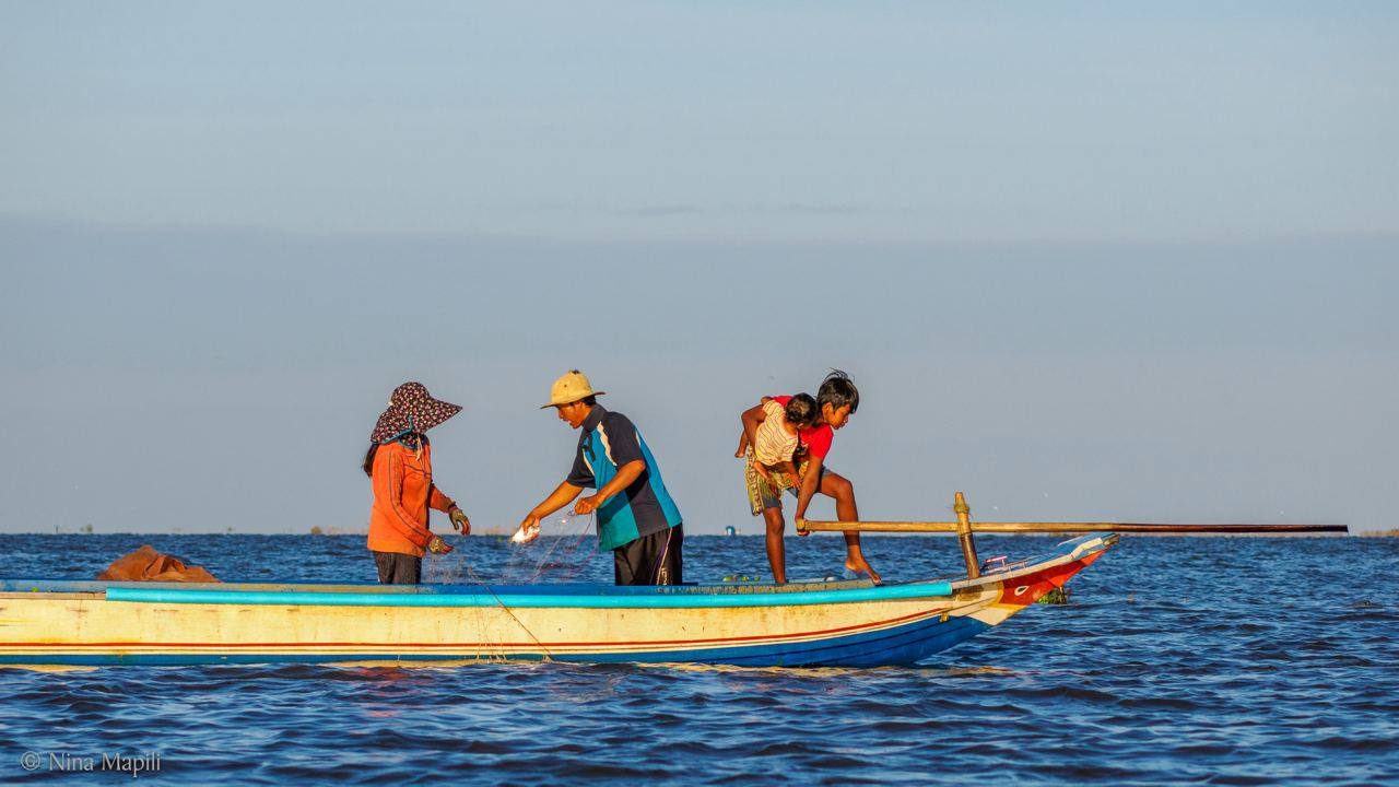 A small-scale fisher at Phat Sanday, in Cambodia's Tonle Sap Lake, catching fish by using an stationery gillnet